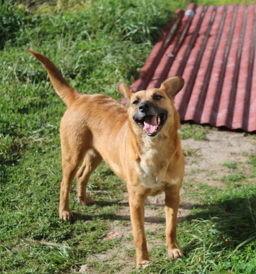 Aqua - Fundación Criollos de la Montaña