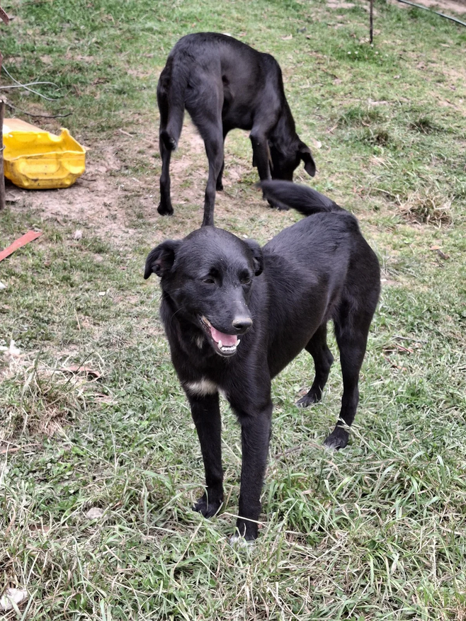 Eugenio - Fundación Criollos de la Montaña