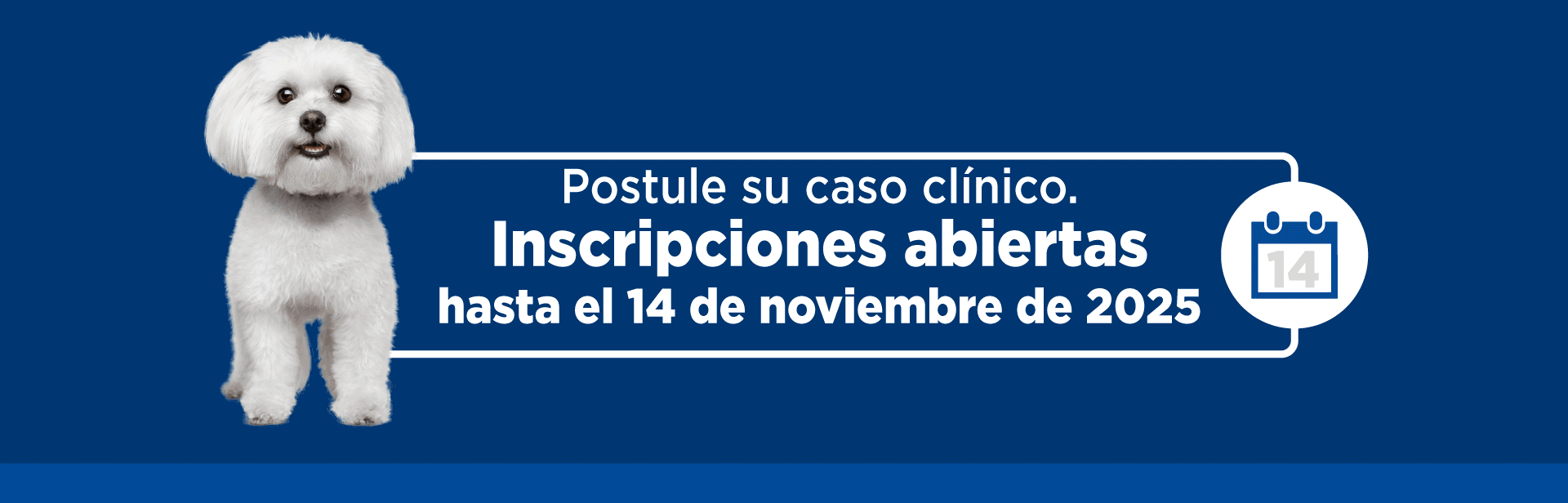 Hill's Casos Clinicos