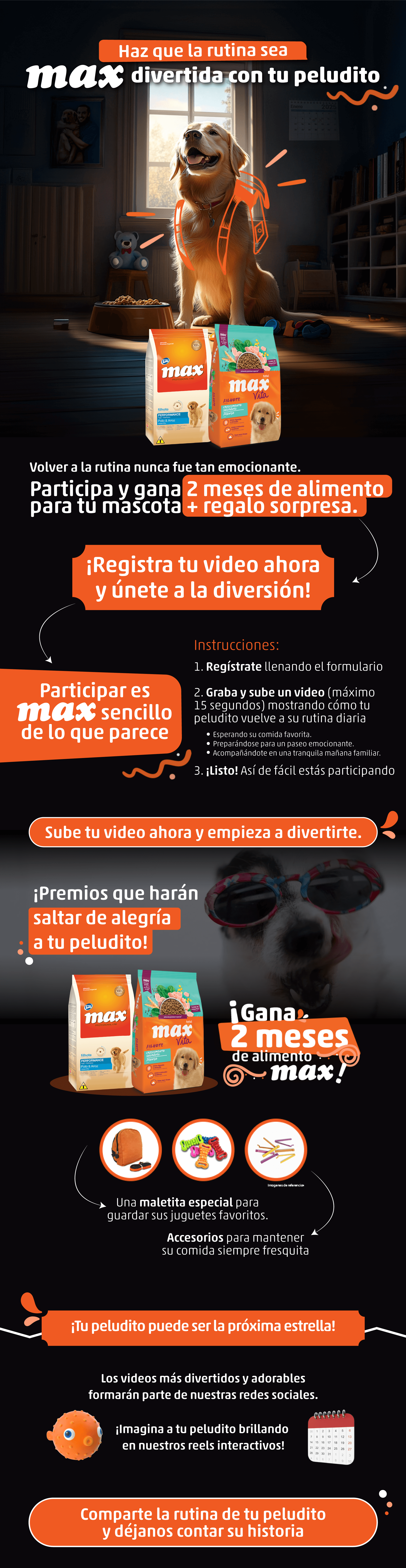 Max Vuelve a la rutina