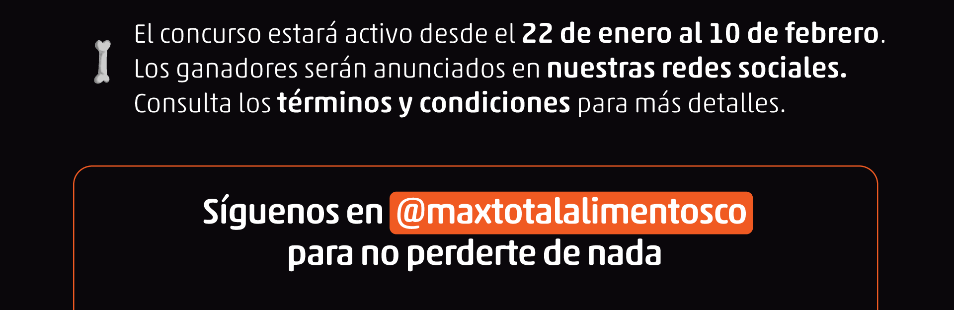 Max Vuelve a la rutina