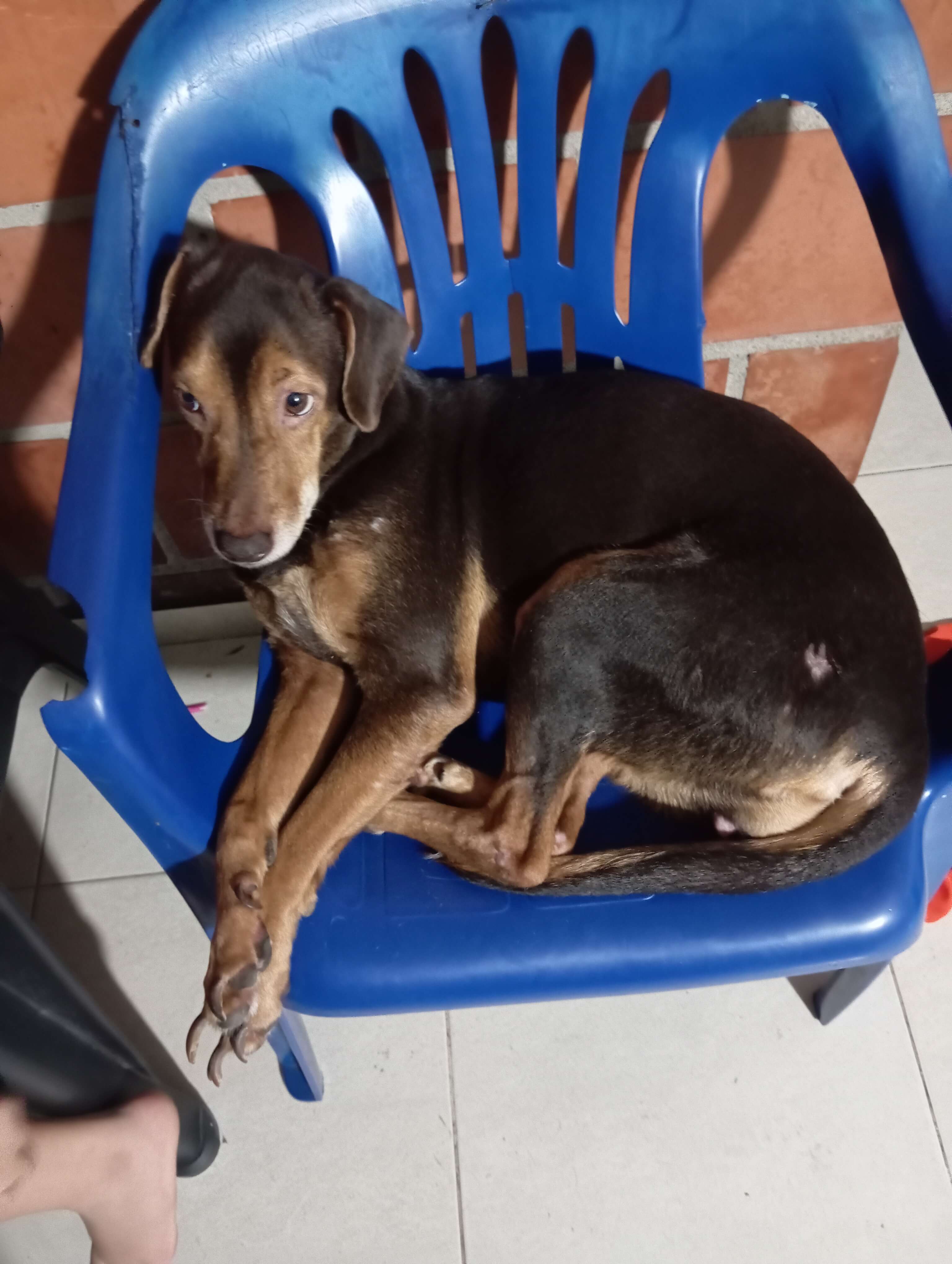 Tu MAXcota Viajera