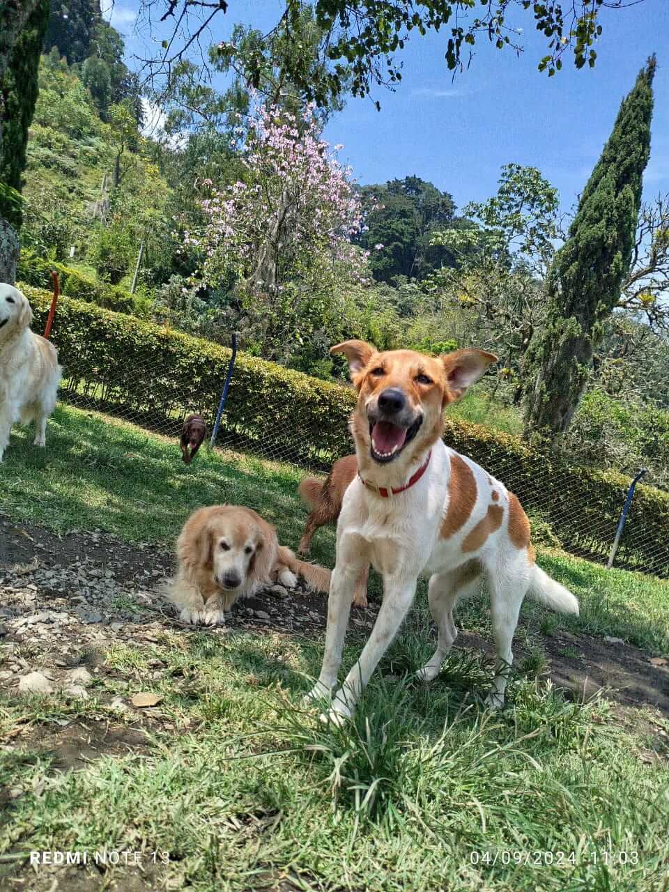 Tu MAXcota Viajera