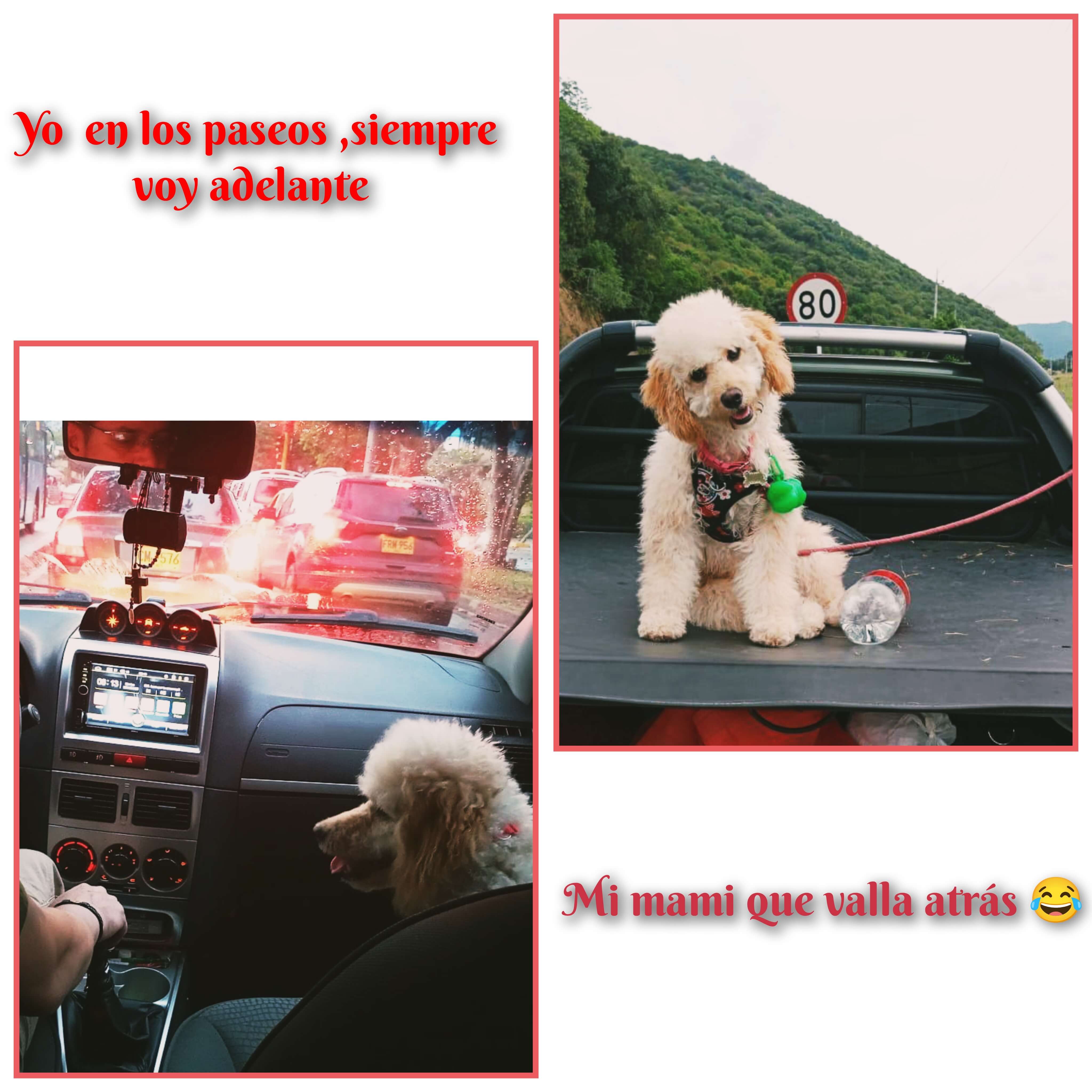 Tu MAXcota Viajera