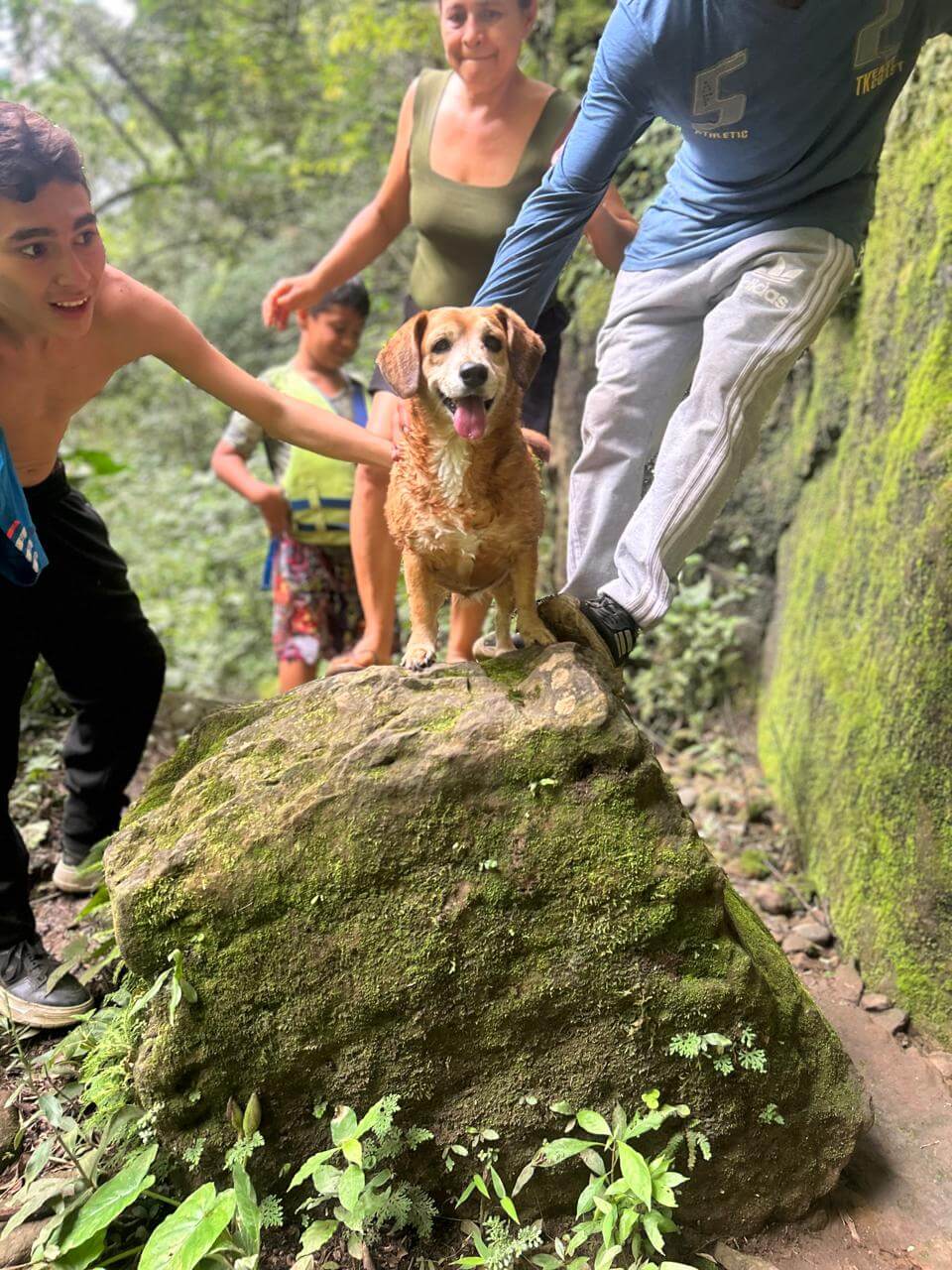 Tu MAXcota Viajera