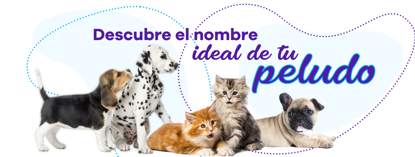Descubre el nombre ideal de tu peludo