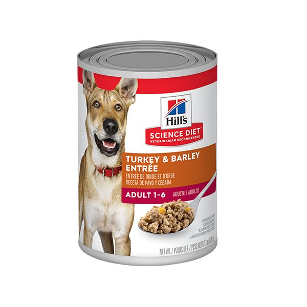Hills Science Diet Adult Turkey & Barley Entrée Lata