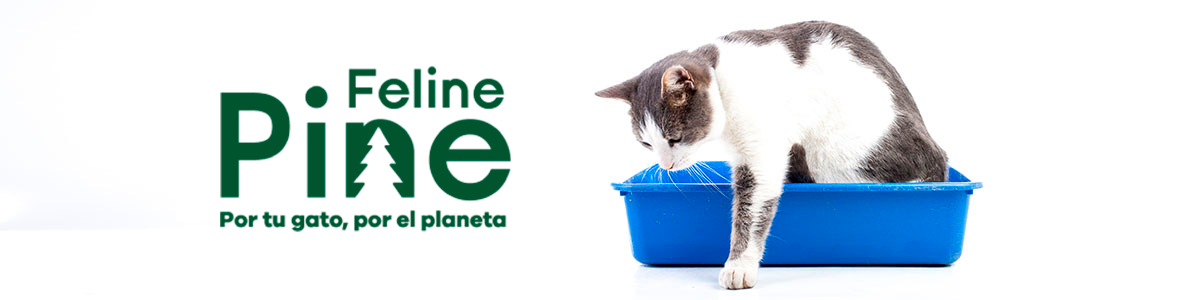 Feline Pine