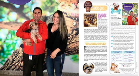 Cloy Recomienda: Vacunación en cachorros y gatitos