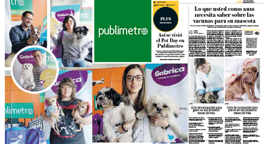Lo que usted como amo necesita saber la guía de vacunación para su mascota