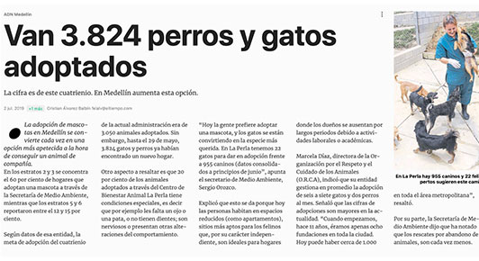 Van 3.824 perros y gatos adoptados