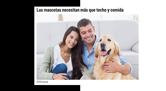 Las mascotas necesitan más que techo y comida