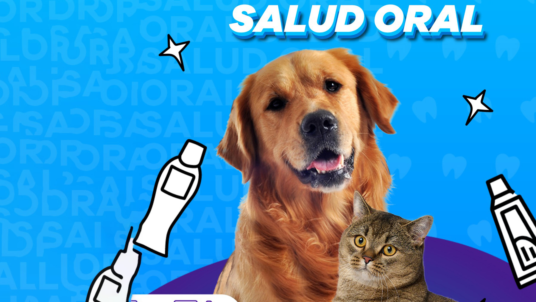 Gabrica | Guía cuidado oral en adultos mayores