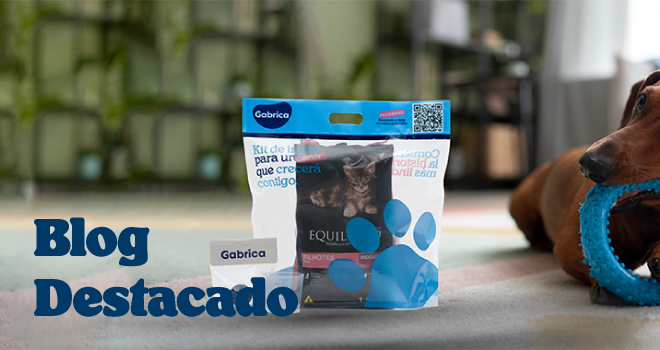 Gabrica | 4 ideas creativas para reutilizar tu bolsa Pet Food