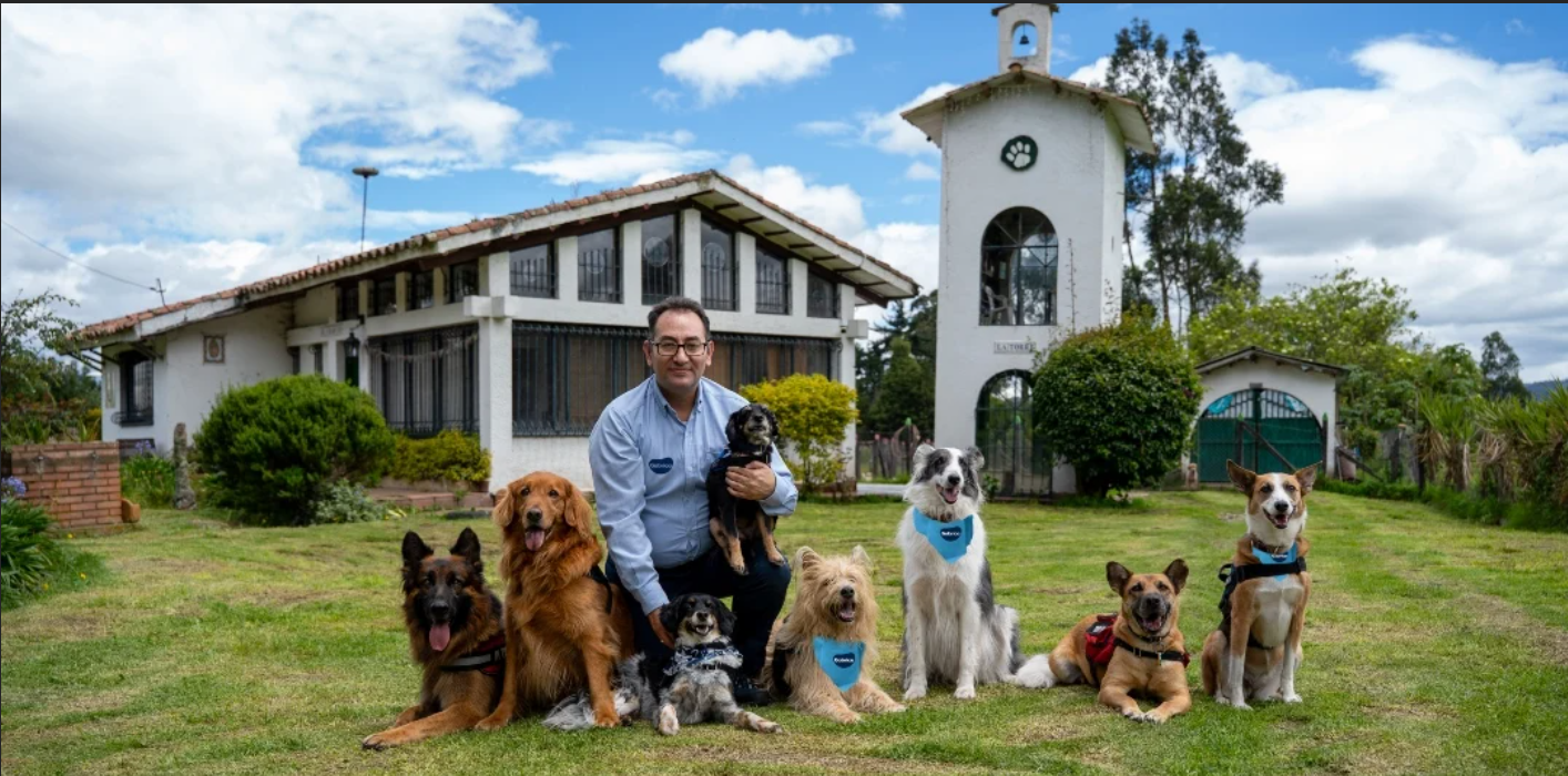 Gabrica | Canoterapia: la terapia emocional con perros que sigue ganando popularidad