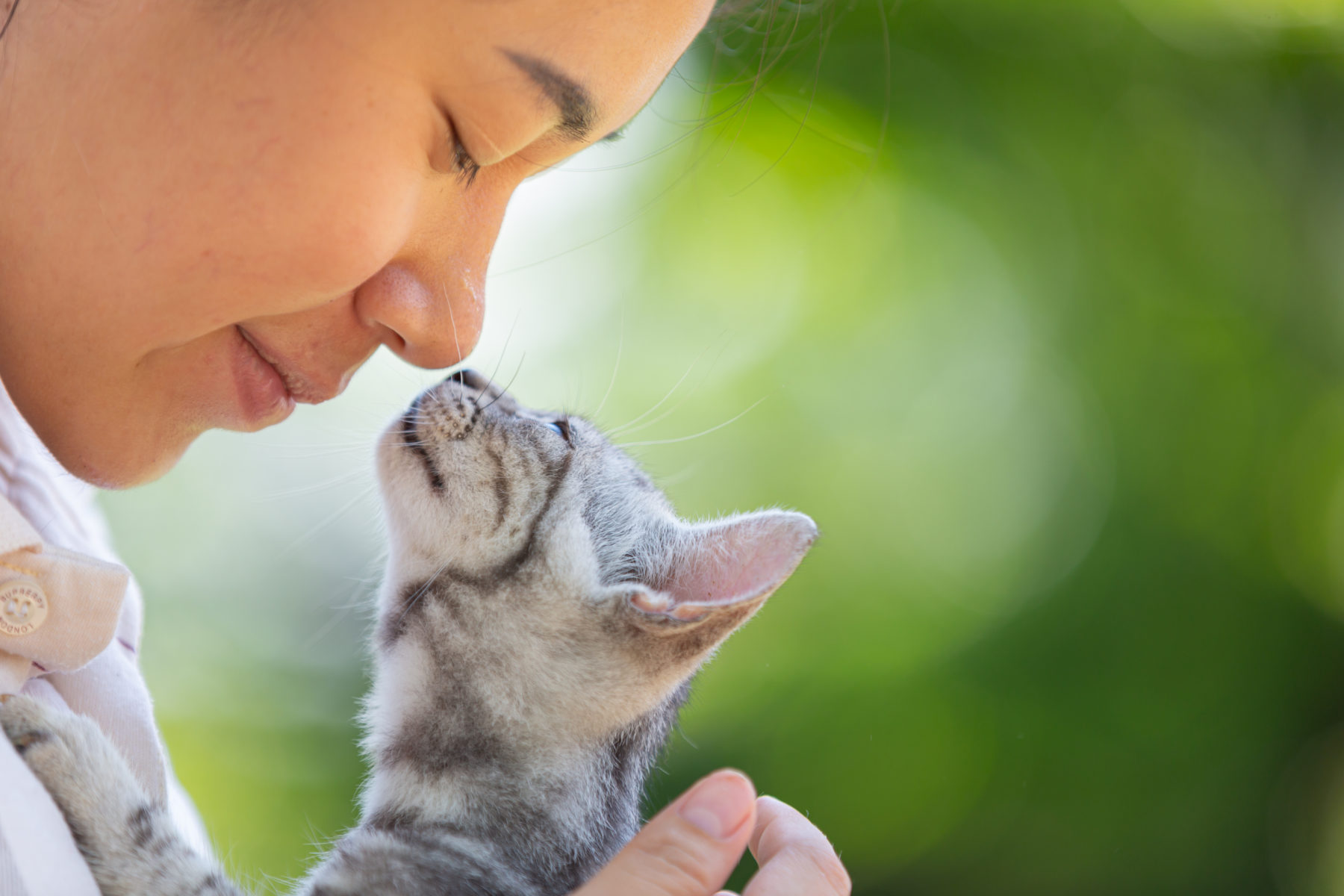 Gabrica | Bienestar gatuno: tips y cuidados imprescindibles