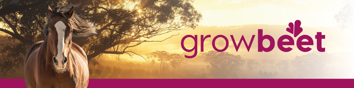 Growbeet