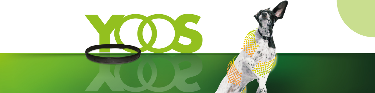 Yoos
