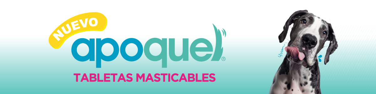 Apoquel