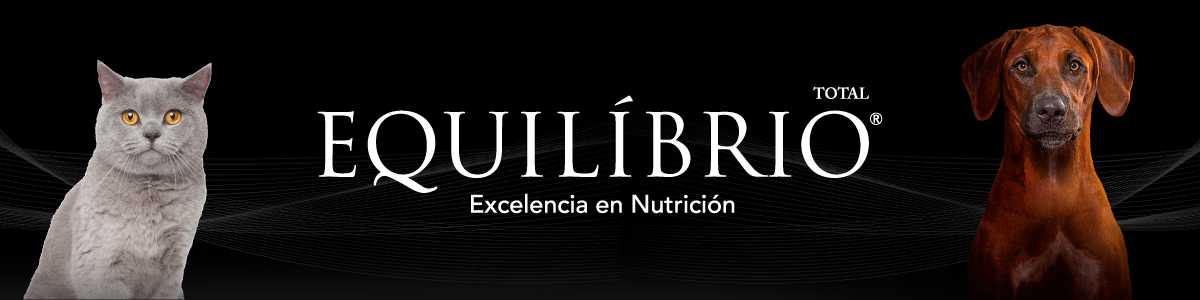 Equilibrio
