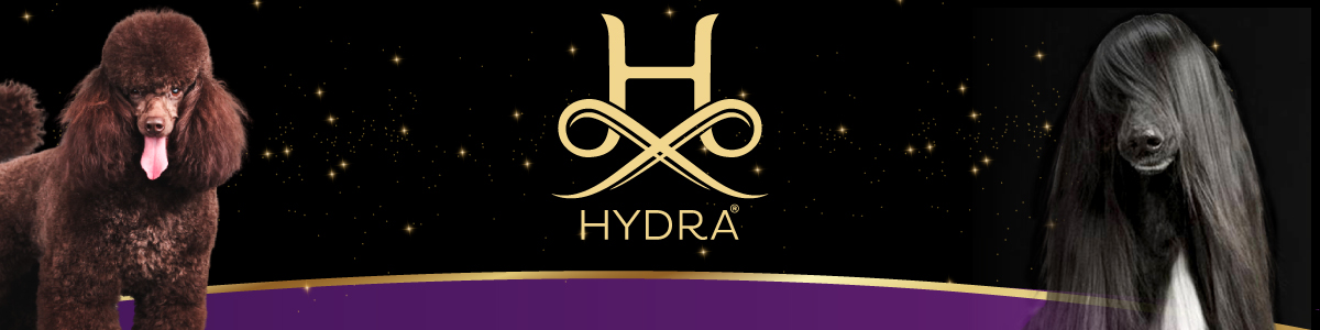 Hydra