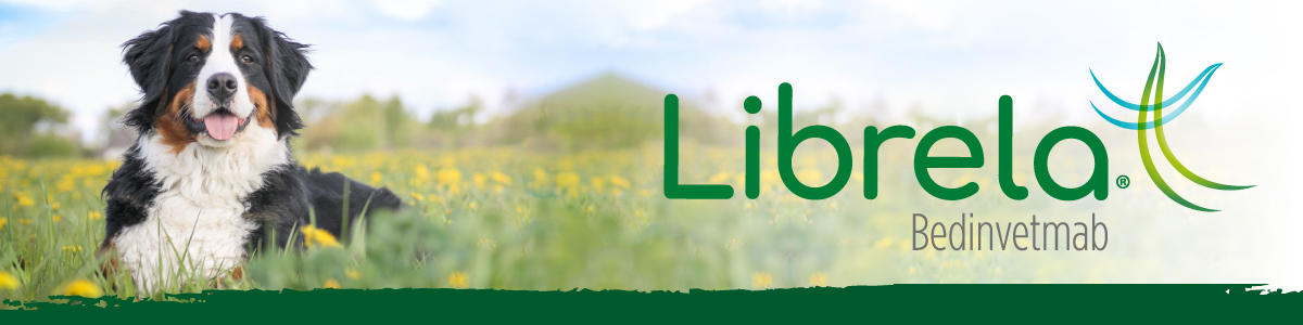 Librela