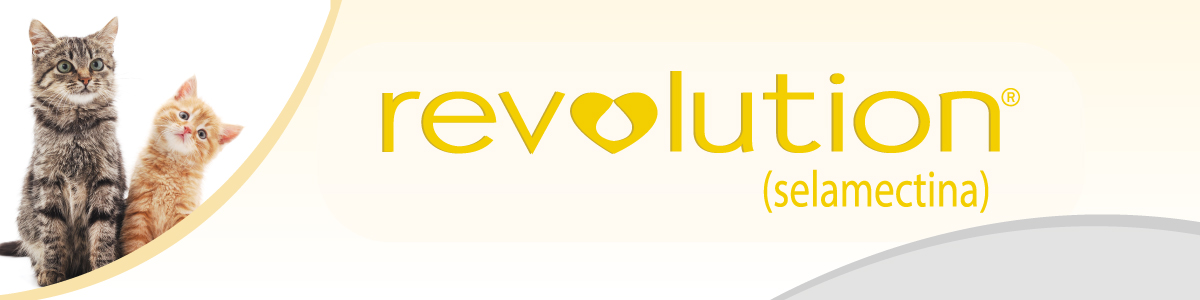 Revolution